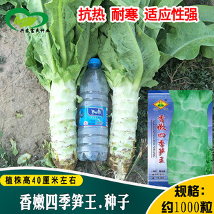 �����ļ��S���n�S�N�����l �r��ˈ@�����������n�S�߲���