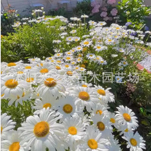 ܴIշNʾջ̨ͥԺļN׾ļ_