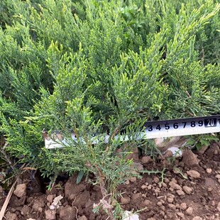 �|���ͺ�ɳ�ذؠI�B���� ������ ɳ�ذؾG�hС�� Ҏ��ȫ �r�񃞻�