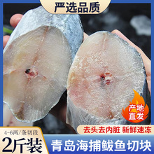 新鲜海捕鲜活鲅鱼冷冻现切鲅鱼段速冻大马鲛鱼块商用海鲜水产批发