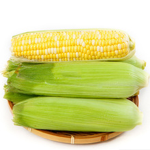 ���r���ˮ�����������r�Fժ���y�������r���׿�ե֭��ʳ�Fժ��Ƥ