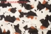Large cow block (original white background)