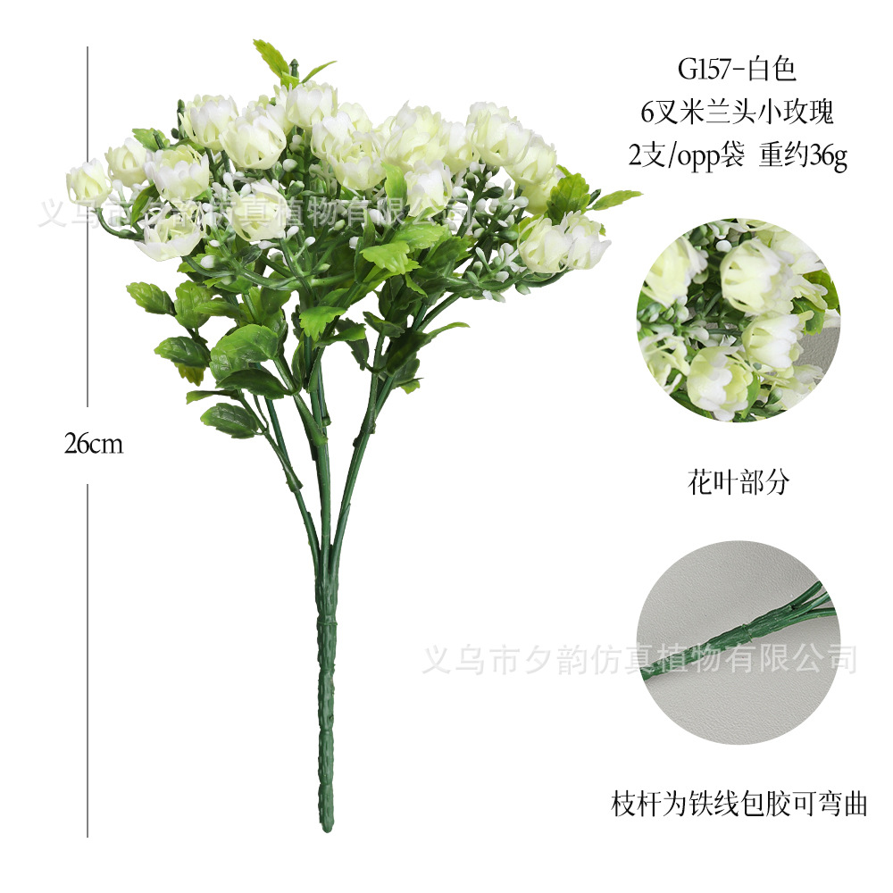 G157-밀크 화이트 6갈래 밀란 작은 장미