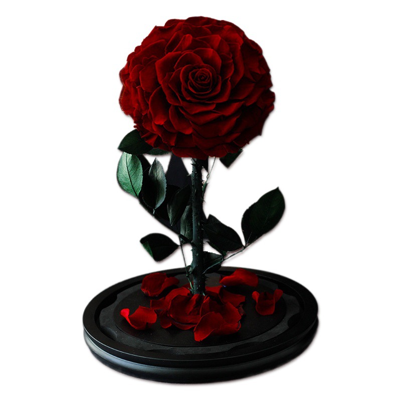 Rosa eterna del Principito, regalo de alta gama para el Día de San Valentín, rosa real cubierta de cristal, regalo transfronterizo de Navidad.