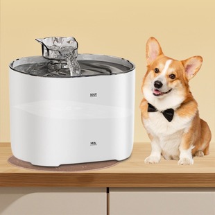 New Ultra-Quiet Smart Pet Water Dispenser White Cat and Dog Automatic Filtered Water Dispenser Cross-Border Hot Sale
