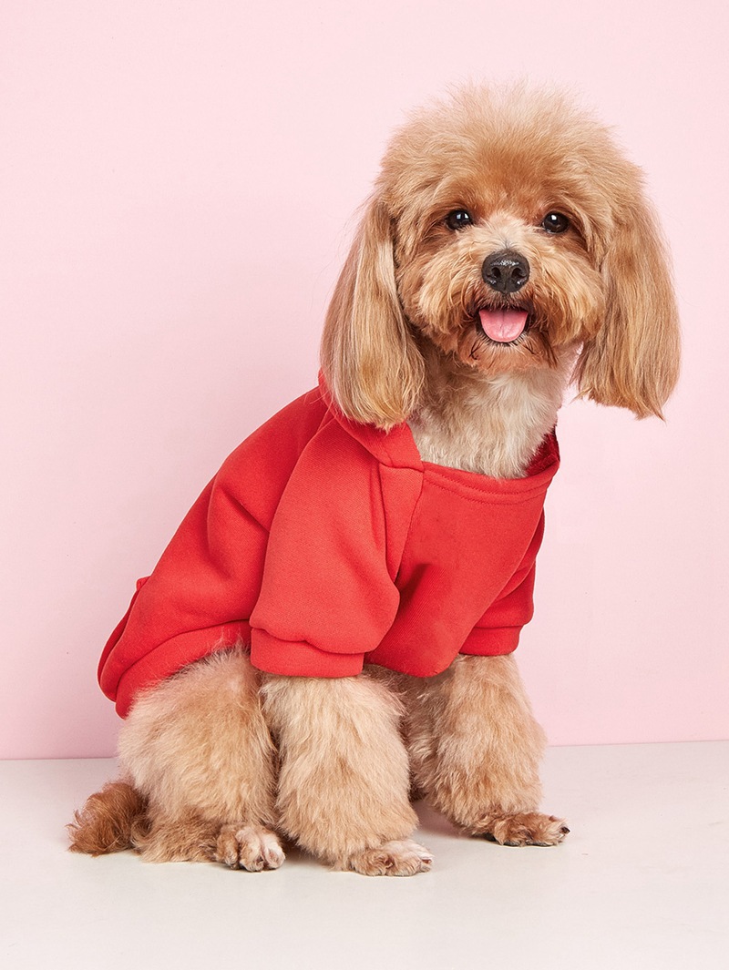 Casual Polyester Solid Color Pet Clothing display picture 7