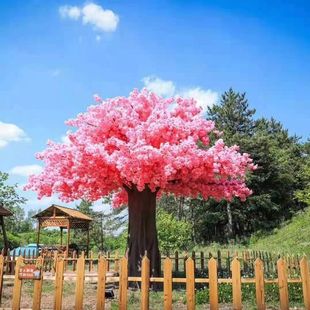 ����Ͳ���䓙ѻ����҃ȴ���b��쾰�������S�͏d�٘�