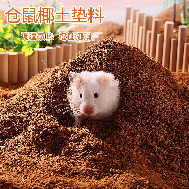 仓鼠专用椰土夏季垫料金丝小宠物造景苔藓尿沙爬宠仓鼠苔藓供应链