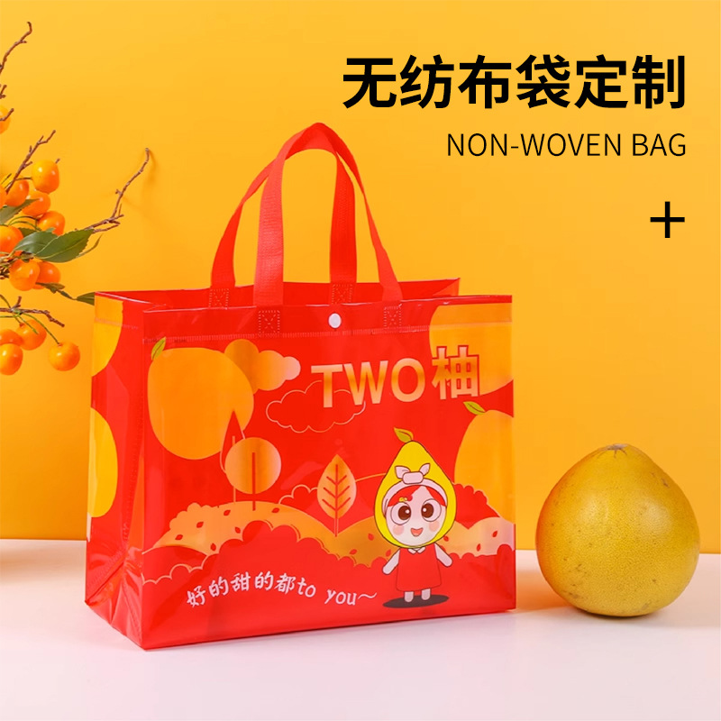 Cloth bag non-woven cloth