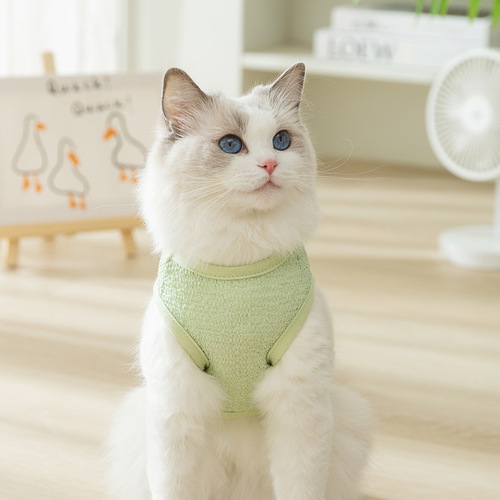 Cute cartoon breathable bear patch cat traction vest two-legged dog pet clothes