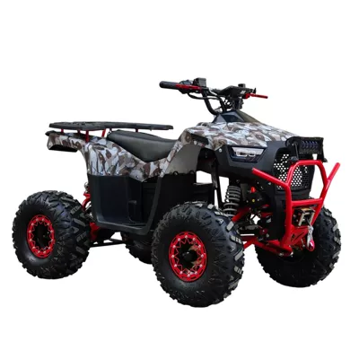 Electric Four-Wheel: Motuoche Auto Parts and Accessories