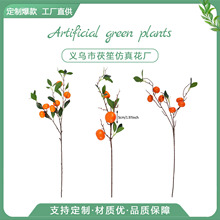 �羳����6�����ӆΗU��������b����ҿ͏d��ƿ�������b�