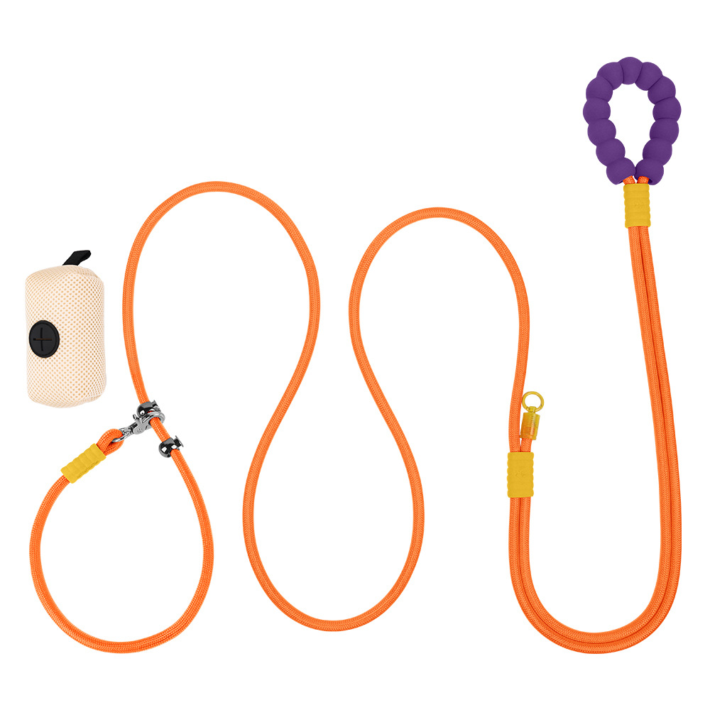 오렌지 컬러풀 + 강아지 가방