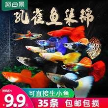 ��ȸ�~�Ꭷ�~С���^�p�~�Pβ�~��ˮ���B�ͻ����B���~���R���~