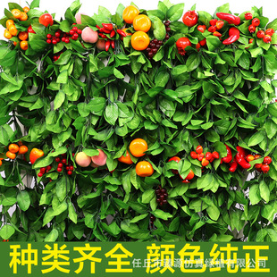 ���J����ˮ���ٗl���߲�ֲ�������~�ӵ���픿��{�ܵ����b��