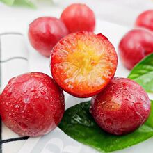 �������������r�錚�����ˮ���M��������÷�������������