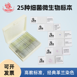 ΢����˱�Ƭ�߽�ʾ��Ƭ�ΑB�W�о����mȾɫ25�N��ù��ù��ù����