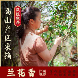 【凤姐家茶 兰花香】凤凰单丛 花香型单枞茶 潮州单从茶叶 新春茶