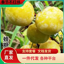 һ�����l�������Ә����F�����R���A��Ʒ�Nˮ��������̨�����Ϸ�