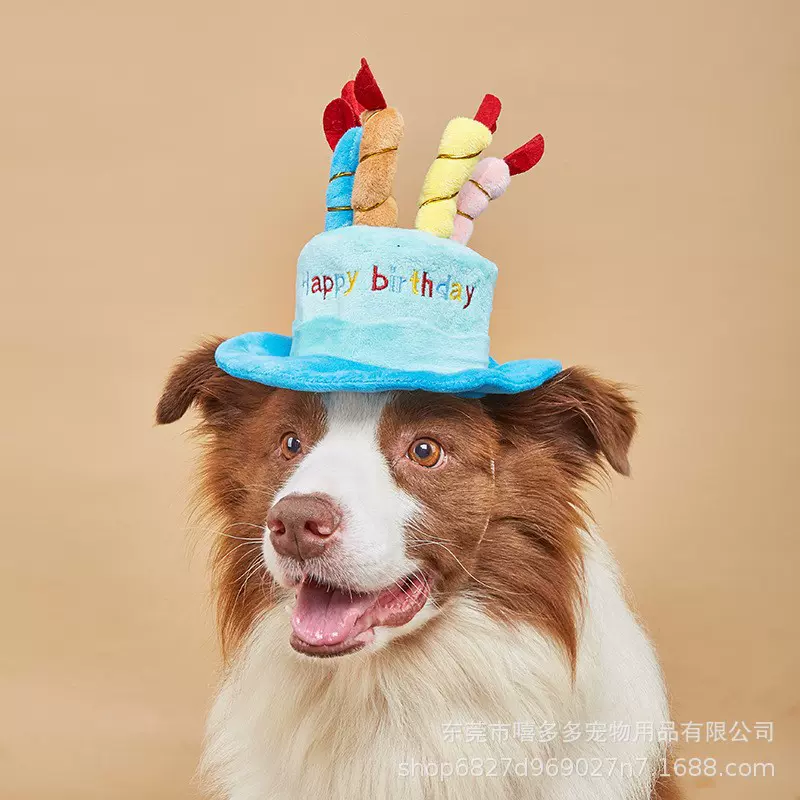 宠物生日帽子玩具 猫咪狗狗新年礼物玩具亚马逊爆款新款
