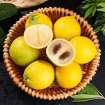 台湾果树黄晶果种子黄金果籽雅美果亚美果加蜜蛋黄果苗盆栽