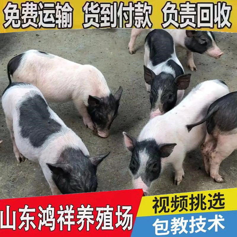 u=3389775201,1181515364&am