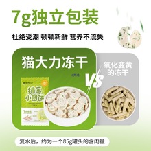 u؈؈ʳɻëë坍X؈ʠIB؈