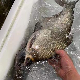 ΢ɽ��ԭ���B����~���r���w�F����հl؛��ˮ�~���~�c�~ˮ�a�