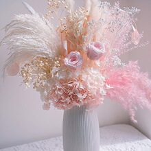 ������õ���JȔ�M���ǻ���ins��ë�滨�ɻ������Ҿ��b�����[��