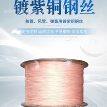 ʢُSҹ̼ػ݆̥䓽z  ȷ