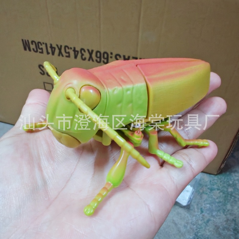 新款上链发条昆虫动物儿童认知小动物蚂蚱仿真模型独角仙小玩具|undefined