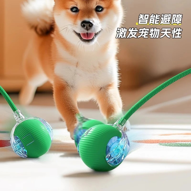 지루함을 덜어주는 고양이 장난감 셀프 엔터테인먼트, 지능형 고양이 웃긴 공, 자동 고양이 웃긴 스틱, 고양이와 개 산책 공, 전기 롤링 공