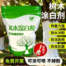 ��ľ��ɉT�ׄ����ˢ�׷��辰������x����������ʯ�ҷ�