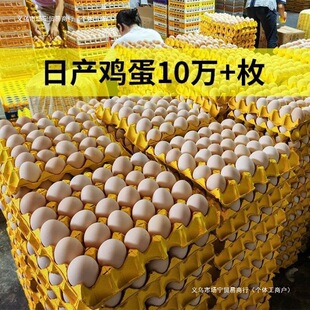 �u�����l���µ�_������30ö�r��ɢ�B�����u�����r�F����l