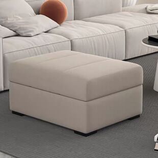 Home Sofa Stool, Light Luxury Footrest, Simple Side Stool, Fashionable Shoe-Changing Rest Storage Bench, Velvet Bed End Stool
