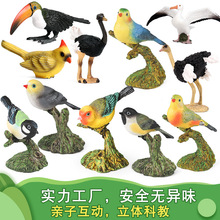 �羳�������ģ����߾����B�Sȸ�����̄���@��ͯ�����b�Ʒ�[��