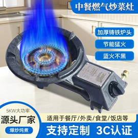 燃气灶具;野餐炉具;炊事设备
