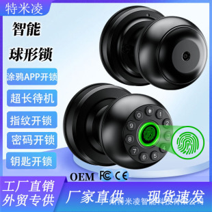 Spherical Smart Lock Semiconductor Fingerprint Recognition Graffiti Door Office Wooden Door Password Lock Apartment Cross-Border Spot