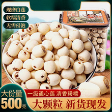 �ؼ�Ʒȥо��ɏ������ɏ�Ӹ�؛500gĥƤ��ɏ�����خa�Fĥ��ɏ��؛