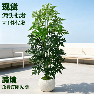����Gֲ����ľ���~�b�ֲ���҃ȿ͏d�̨����bٻ��辰�S����