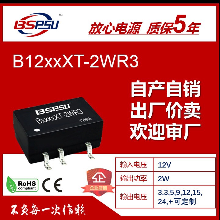 B1205XT-2W B1203/1205/1209/1212/1215/1224XT-2WR3 DC Power Module