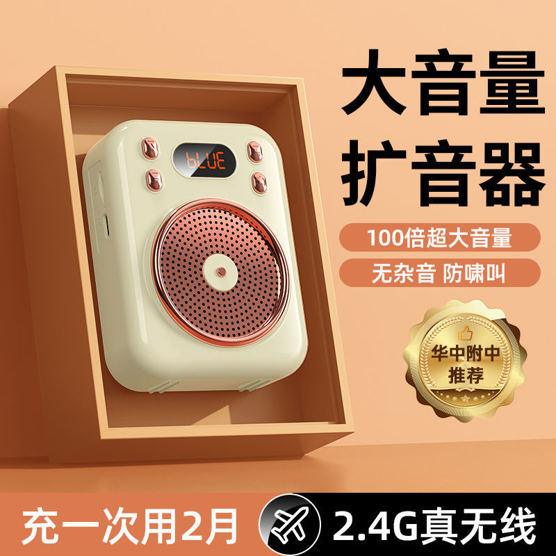 Little Bee Amplifier Teacher Class Tour Guide Wireless Bluetooth Ear Microphone Large Volume Small Megaphone