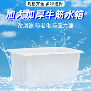 Thickened Plastic Tendon Water Tank Rectangular Large-Capacity Water Bucket Selling Fish Aquaculture Tank Household Large Water Storage Bucket