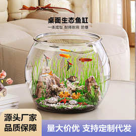 办公室小型金鱼缸客厅桌面圆形造景水培生态缸小鱼缸水族箱观赏鱼