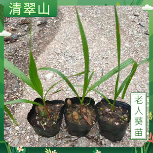 ���˿��������Ի����҃��^�~ֲ���ؙ����ļ�����GֲͥԺ�A��С��