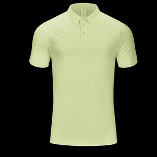SY.R419�ٸɽ����ܲ�����polo���ź�͸�⼤��_��logo����48H�l؛