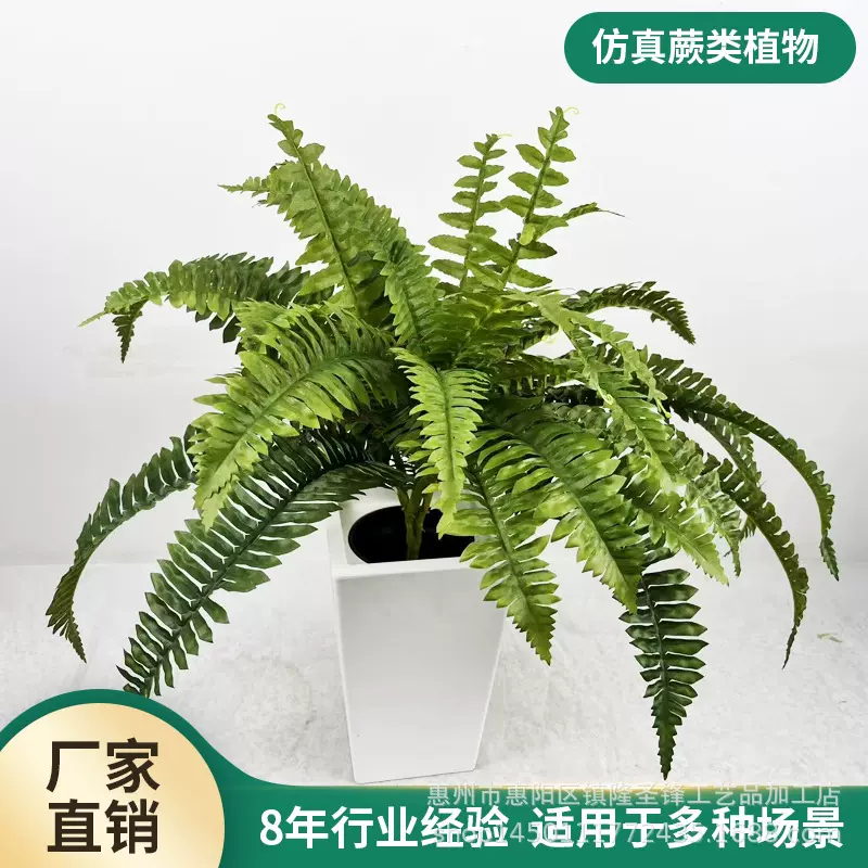 亚马逊仿真蕨类波斯草人造蕨类波士顿蕨仿真草家居室内装饰假植物