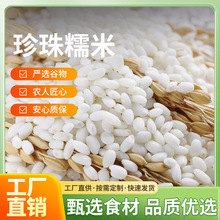 珍珠糯米500g真空装绿色认证粳糯米圆粒粽子米厂直供黏糯奶茶原料