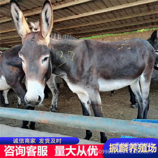 �������u���H��� �N�H��һ�^  ���H������Щ �������H��