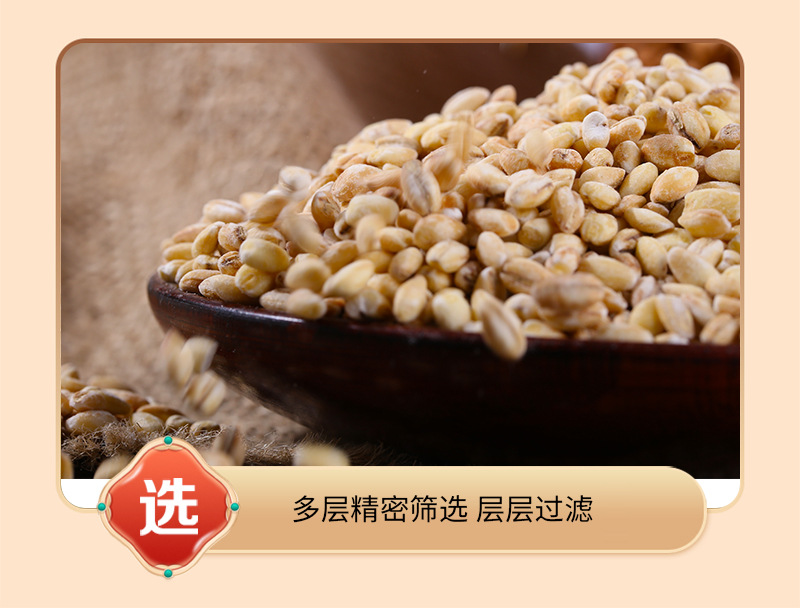 Hulled Barley Kernels Da Mai Ren Hordeum vulgare Roasted Peeled Grain for Soy Milk and Grinding 25kg Bulk Bag in use